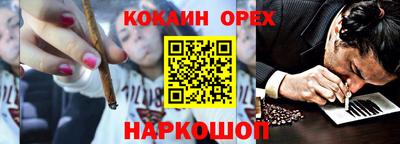 стафф Гатчина