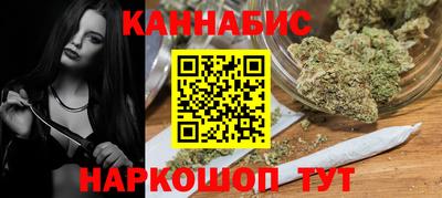 стафф Гатчина