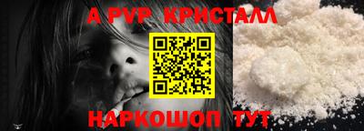 стафф Гатчина