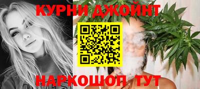 стафф Гатчина