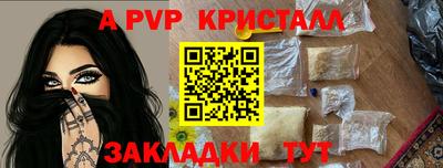 стафф Гатчина