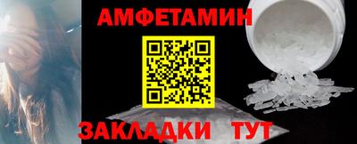 стафф Гатчина