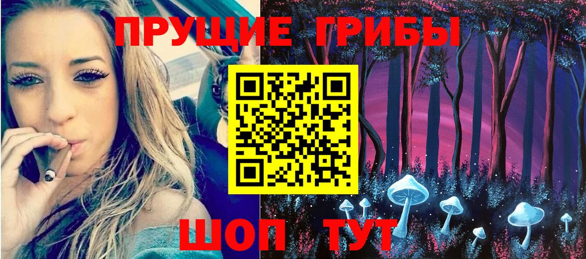 Сарапул  Псилоцибиновые грибы Cubensis  Вход с VPN 